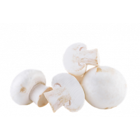 Champignons