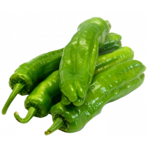 Paprika Ucburun grün