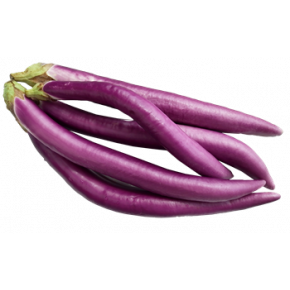 Aubergine lang