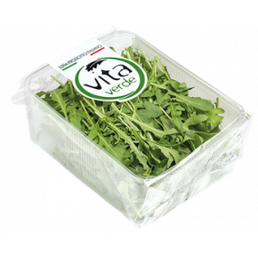 Rucola Salat